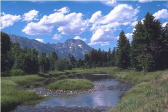 yellowstonemountains1.jpg