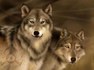 Wolf_Pack
