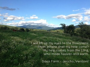 davis farm words