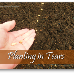 Planting in Tears