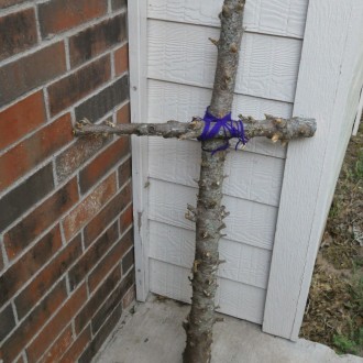 Remembering the Cross
