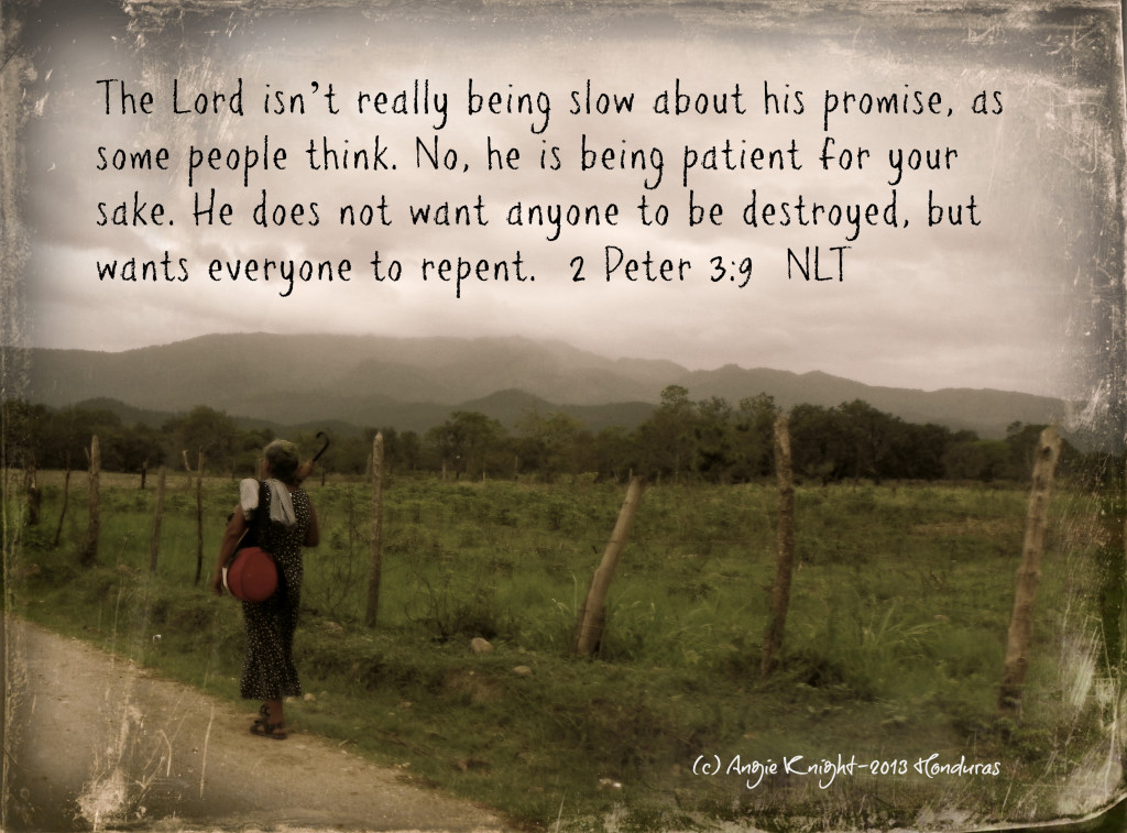 Patience of The LORD