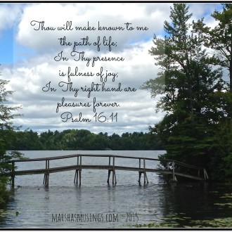 Seeing Life Through the Eyes of Gratitude