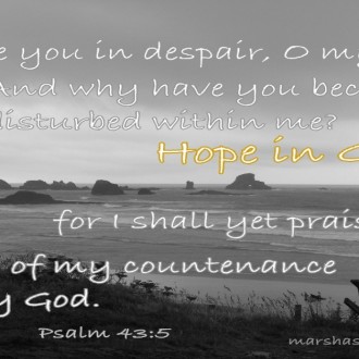 If God is Good, Why Do People Have to Suffer?