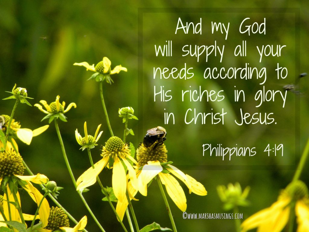 Philippians 419 UPDATED