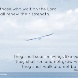 While You Are Waiting