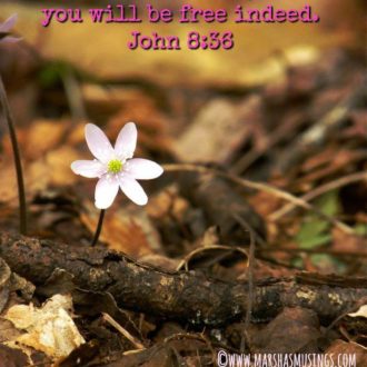 A Parable of Purpose and Brokenness