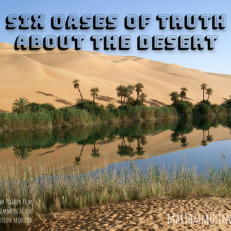 Refreshment in the Desert